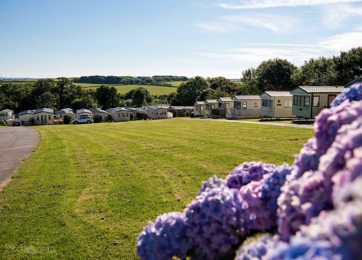 Trevella Holiday Park New Quay エクステリア 写真