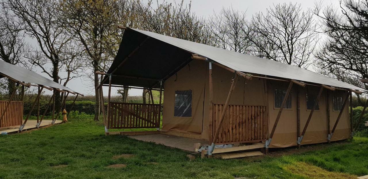 Trevella Holiday Park New Quay 部屋 写真