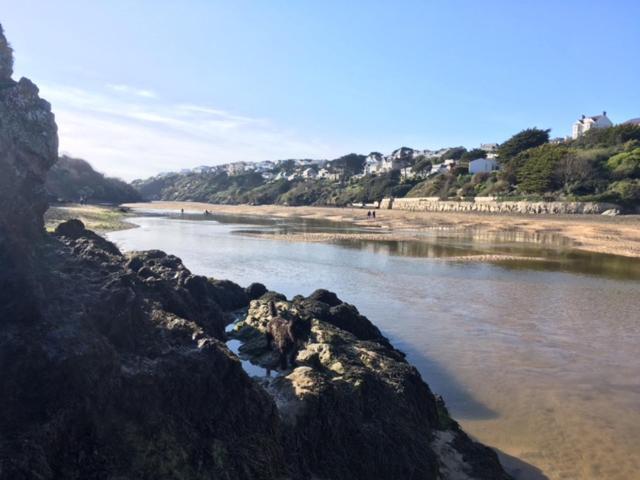 Trevella Holiday Park New Quay エクステリア 写真